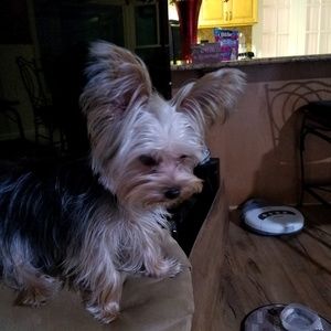 Meet your Posher, Rita